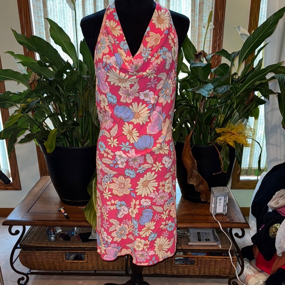 See You Monday Pink and Blue Backless Sundress